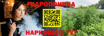 шишки Бузулук
