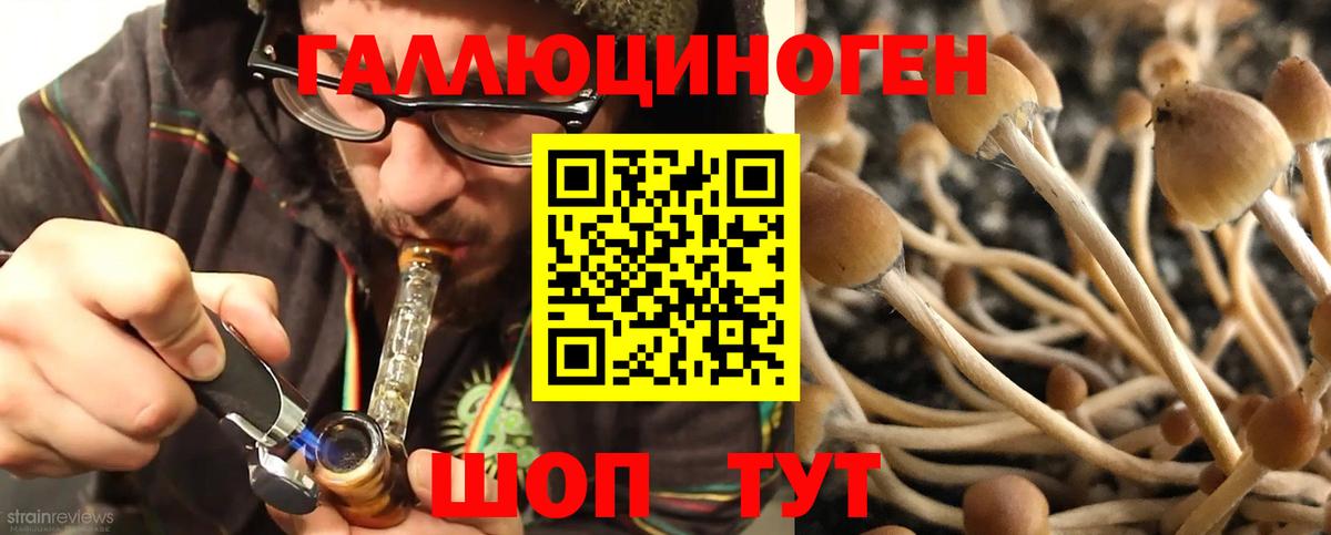 Псилоцибиновые грибы мухоморы Орёл